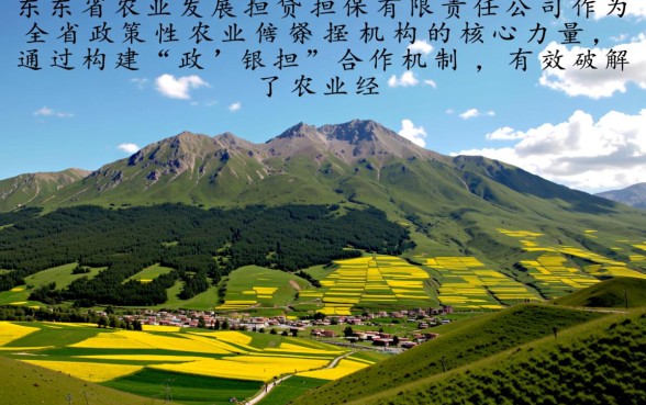 山东省农业发展信贷担保有限责任公司怎么申请
