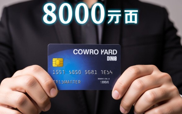 信用卡8000一个月利息多少