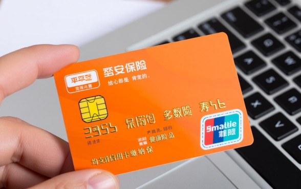 平安保险可以用信用卡交保费吗