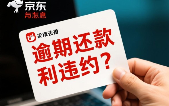 京东白条没有按时还款会怎么样