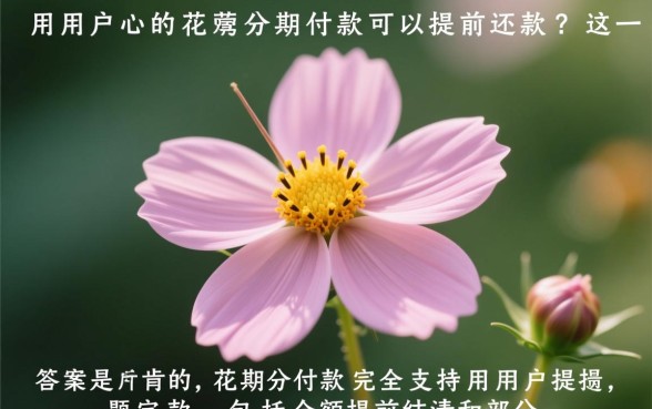 花呗分期付款可以提前还款吗