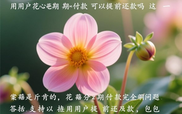 花呗分期付款可以提前还款吗