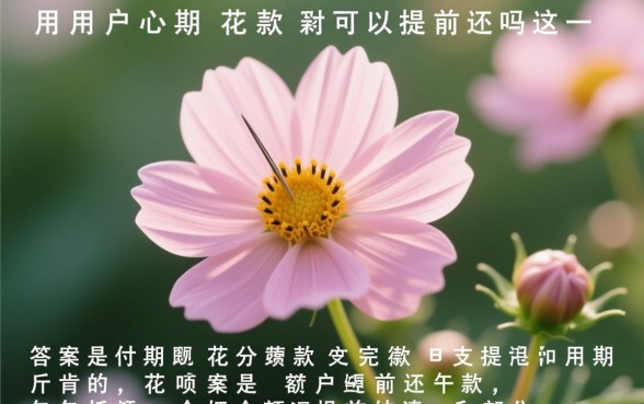 花呗分期付款可以提前还款吗