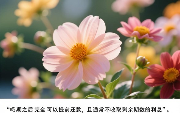 花呗分期之后可以提前还款吗