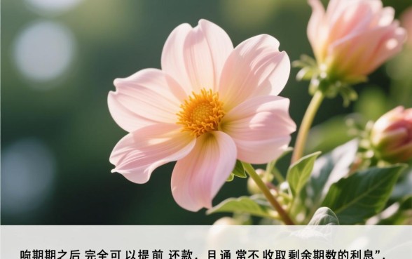 花呗分期之后可以提前还款吗