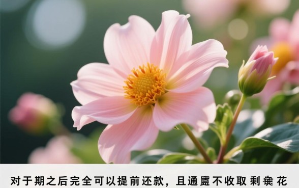 花呗分期之后可以提前还款吗
