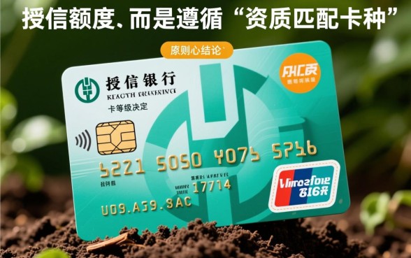 农业银行信用卡哪个额度高
