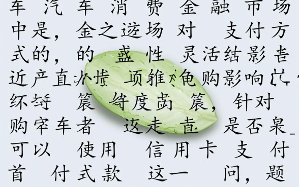 买车首付款可以刷信用卡吗