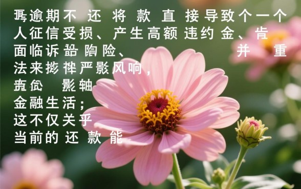 花呗逾期不还款有什么后果