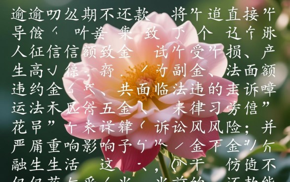 花呗逾期不还款有什么后果