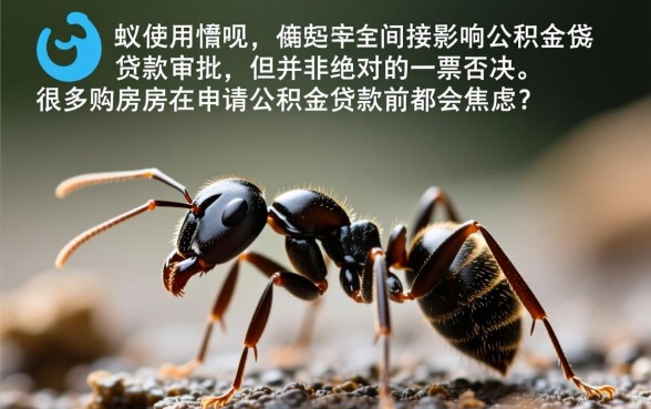 蚂蚁借呗影响公积金贷款吗