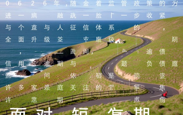 有多少人欠信用卡还不起