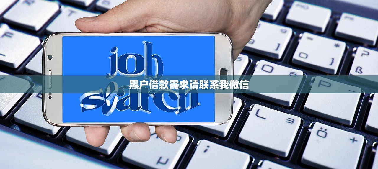 农行小微贷款平台评测：额度、利率、申请流程全解析