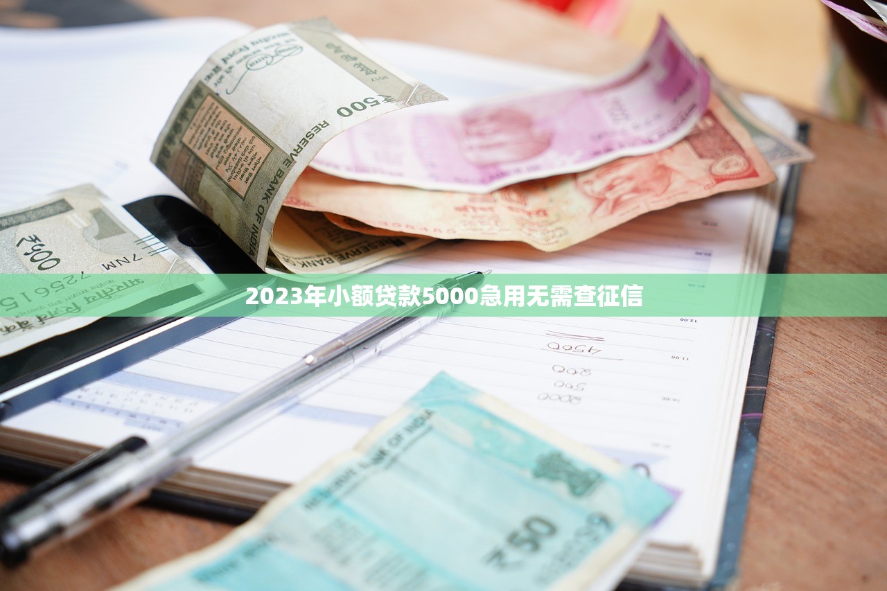 2023年小额贷款5000急用无需查征信