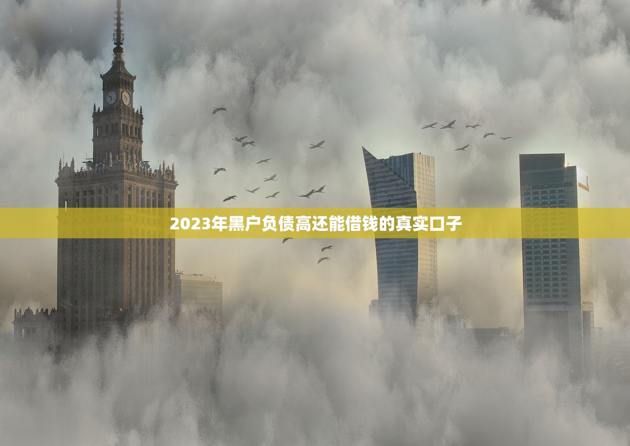 2023年黑户负债高还能借钱的真实口子