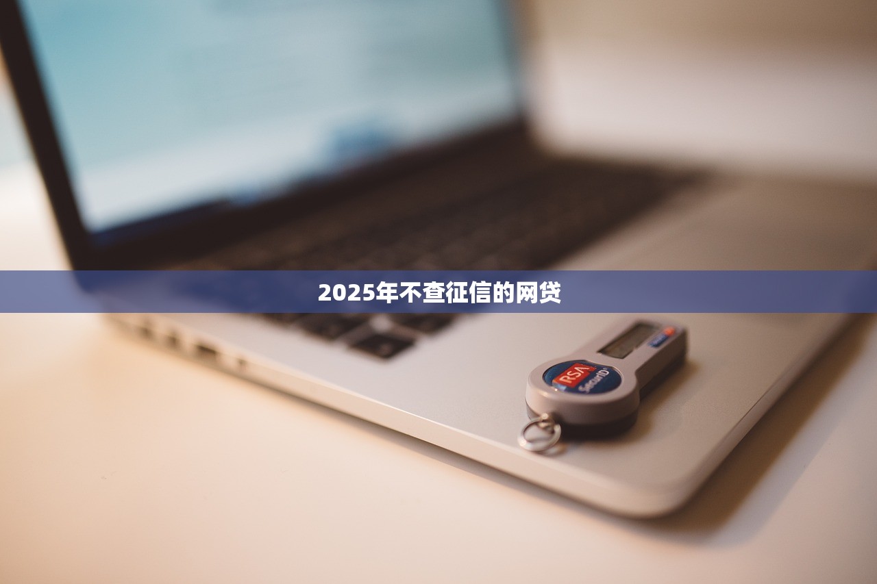 2025年不查征信的网贷 2025年不查征信的网贷