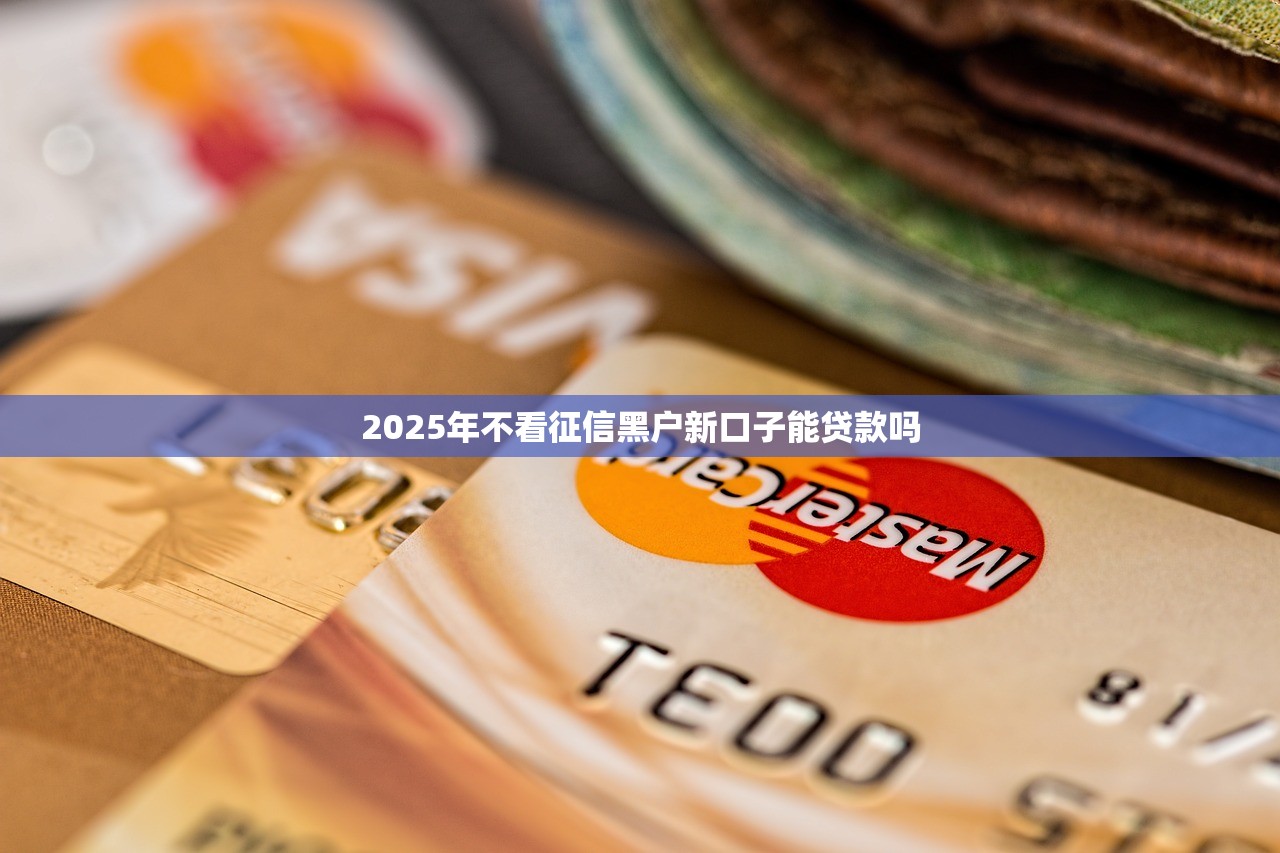 2025年不看征信黑户新口子能贷款吗 2025年不看征信黑户新口子能贷款吗