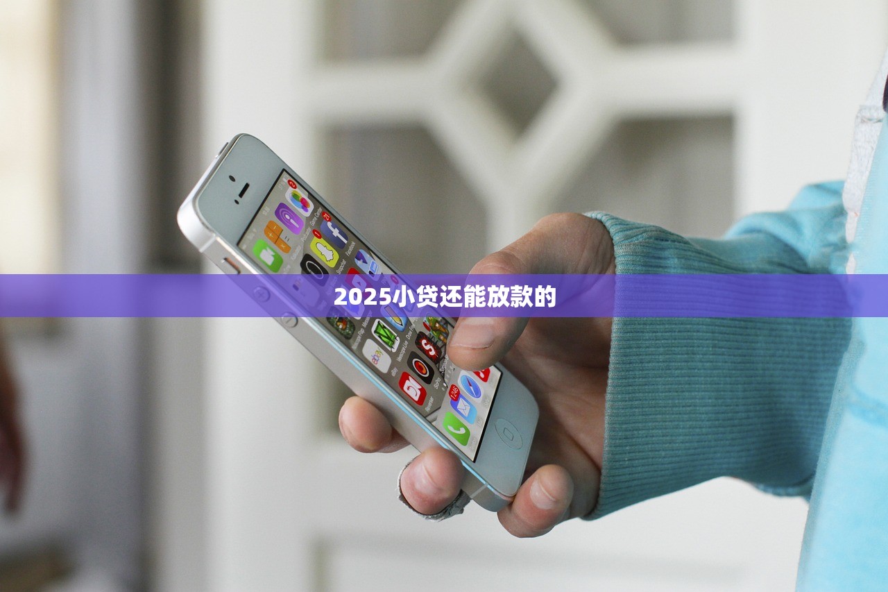 2025小贷还能放款的 2025小贷还能放款的