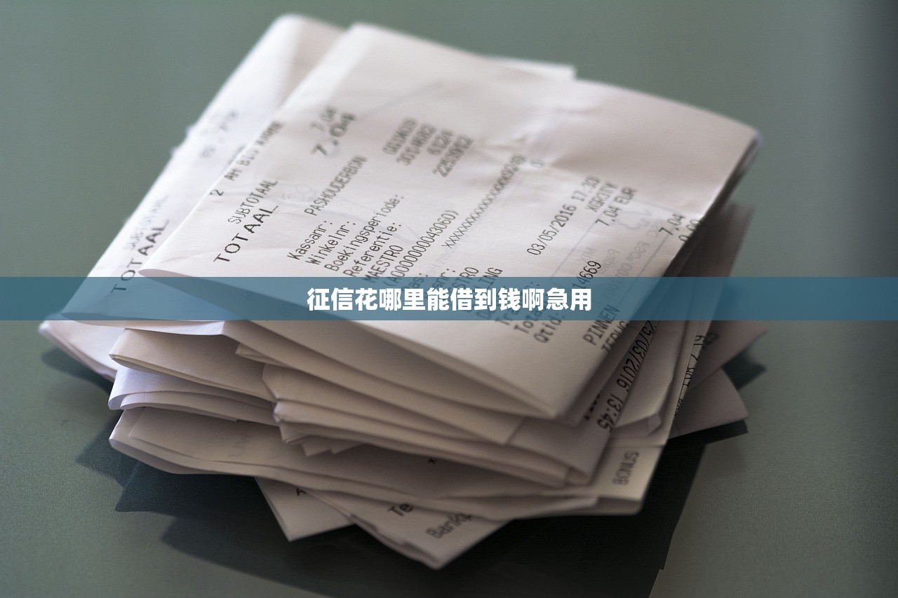 征信花哪里能借到钱啊急用 征信花哪里能借到钱啊急用