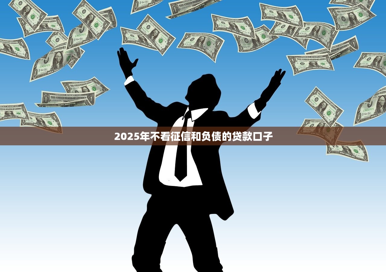 2025年不看征信和负债的贷款口子