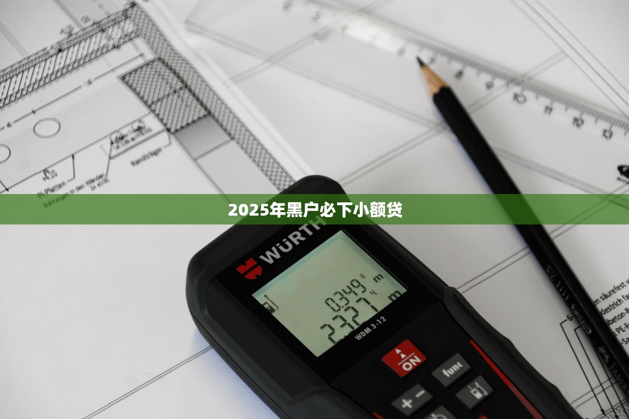 2025年黑户必下小额贷