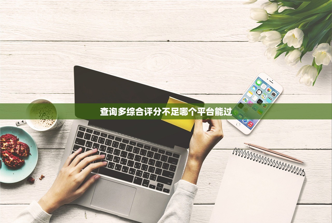 查询多综合评分不足哪个平台能过