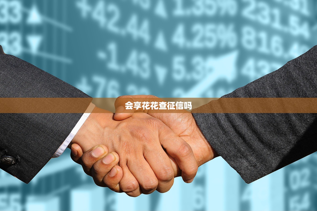 会享花花查征信吗