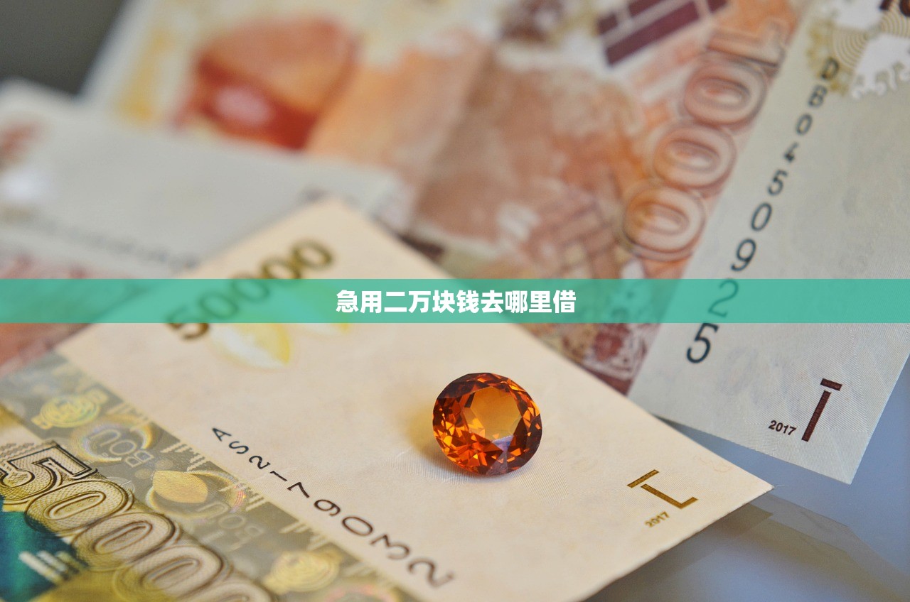 急用二万块钱去哪里借