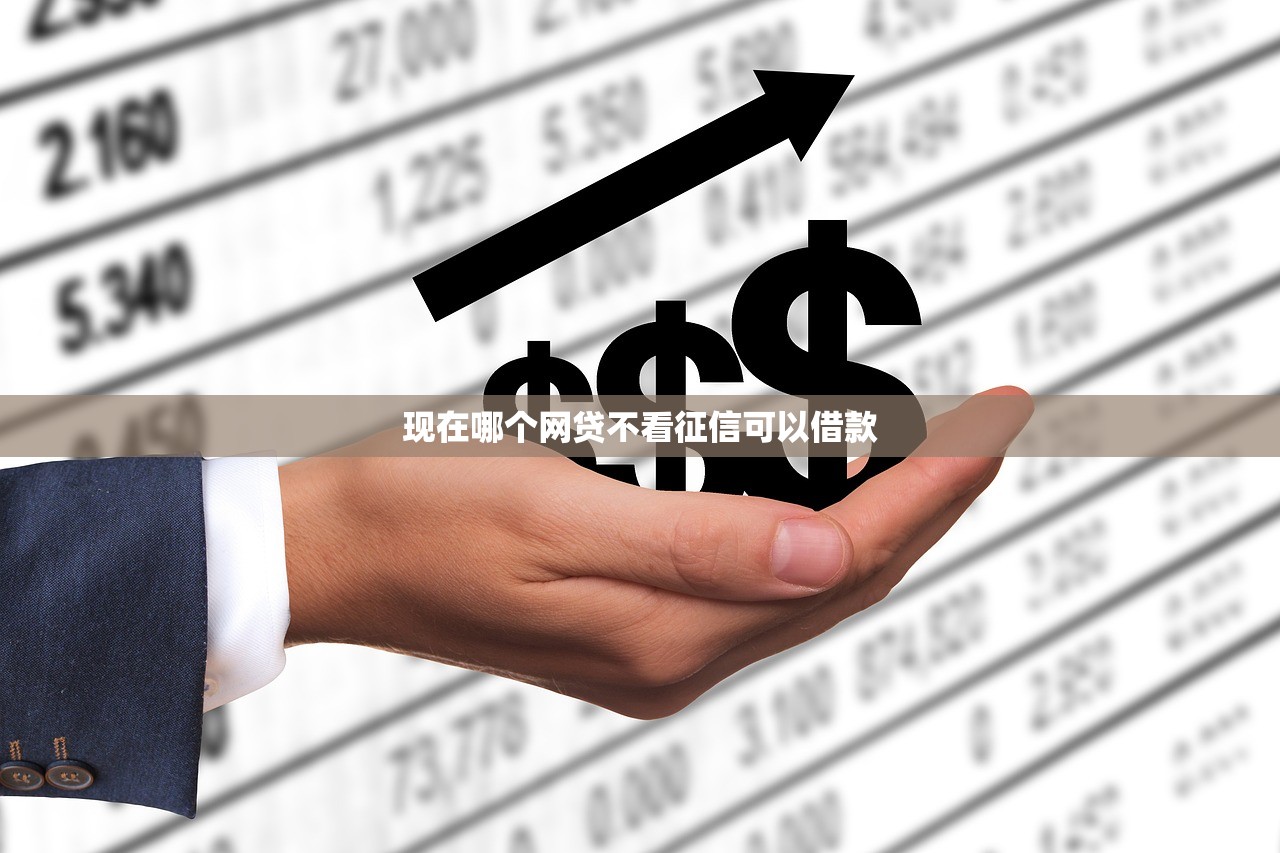 现在哪个网贷不看征信可以借款