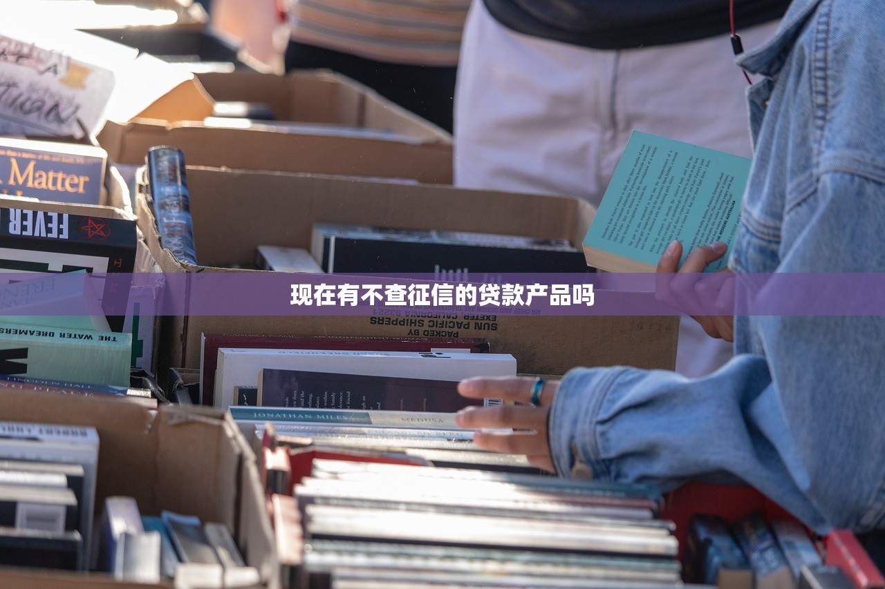 现在有不查征信的贷款产品吗？