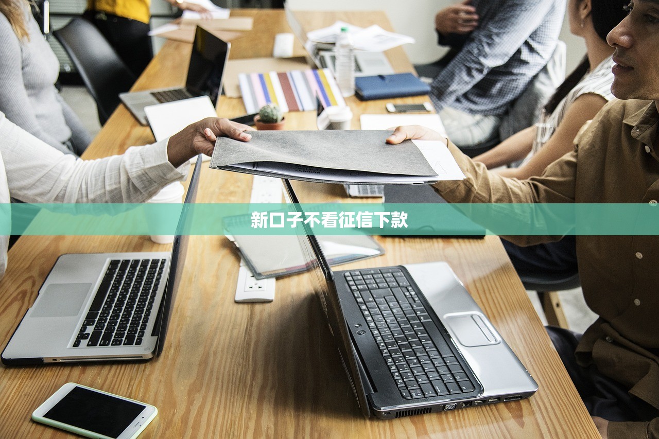 新口子不看征信下款