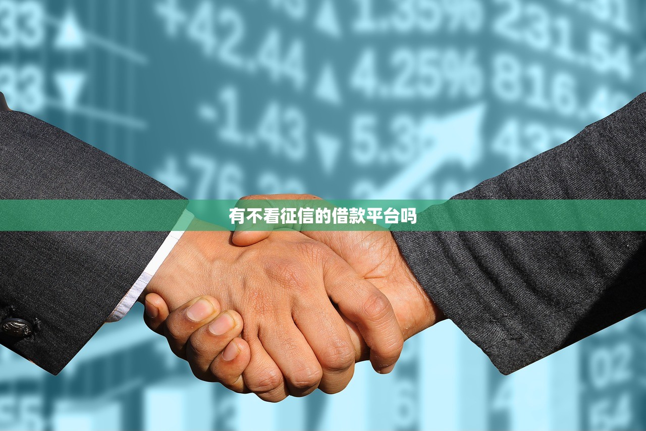 有不看征信的借款平台吗