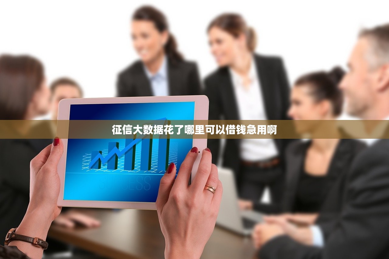 征信大数据花了哪里可以借钱急用啊