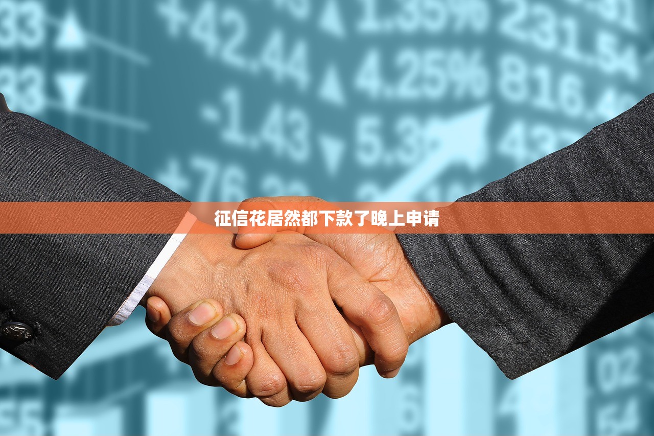 征信花居然都下款了晚上申请