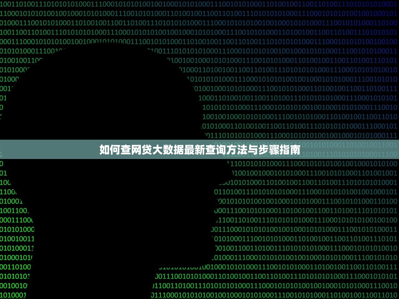 如何查网贷大数据最新查询方法与步骤指南