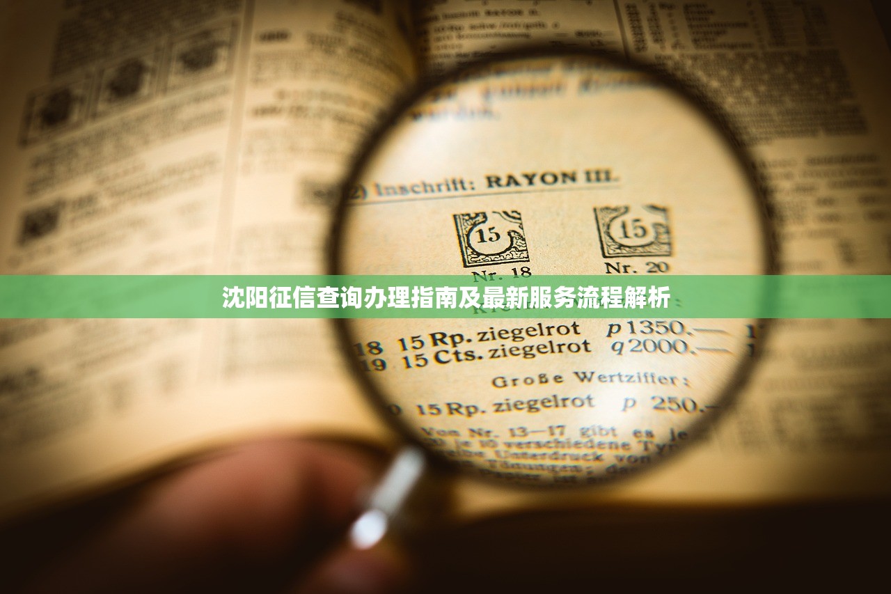 镇雄县贷款预约平台电话及正规贷款渠道全攻略