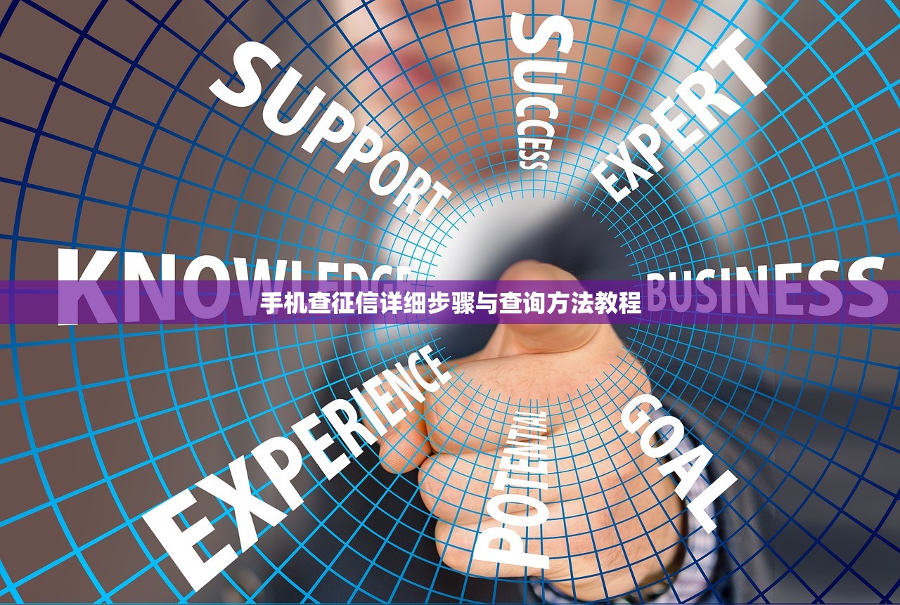 手机查征信详细步骤与查询方法教程
