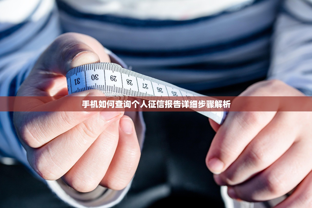 手机如何查询个人征信报告详细步骤解析