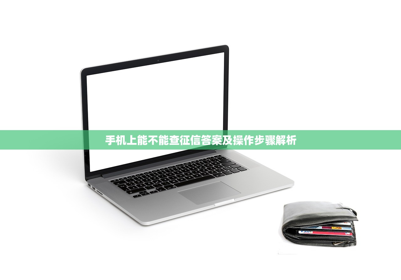 手机上能不能查征信答案及操作步骤解析