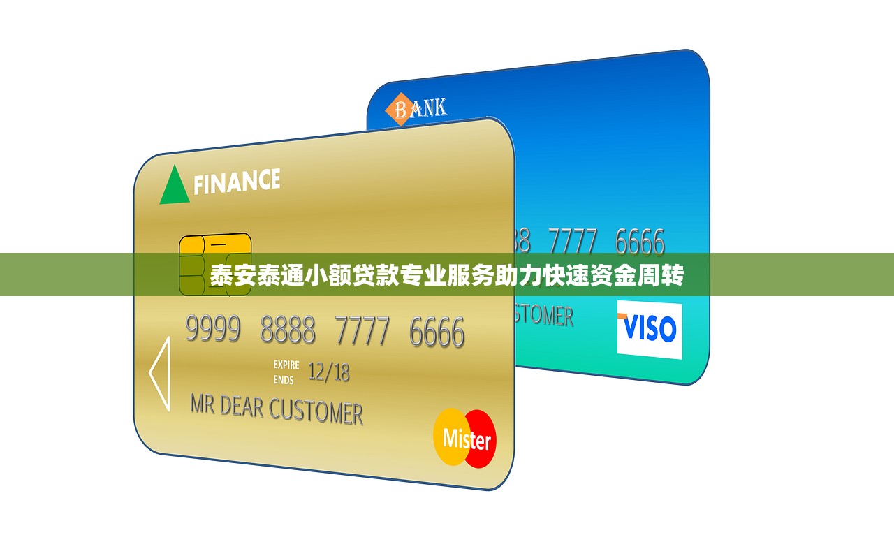 泰安泰通小额贷款专业服务助力快速资金周转