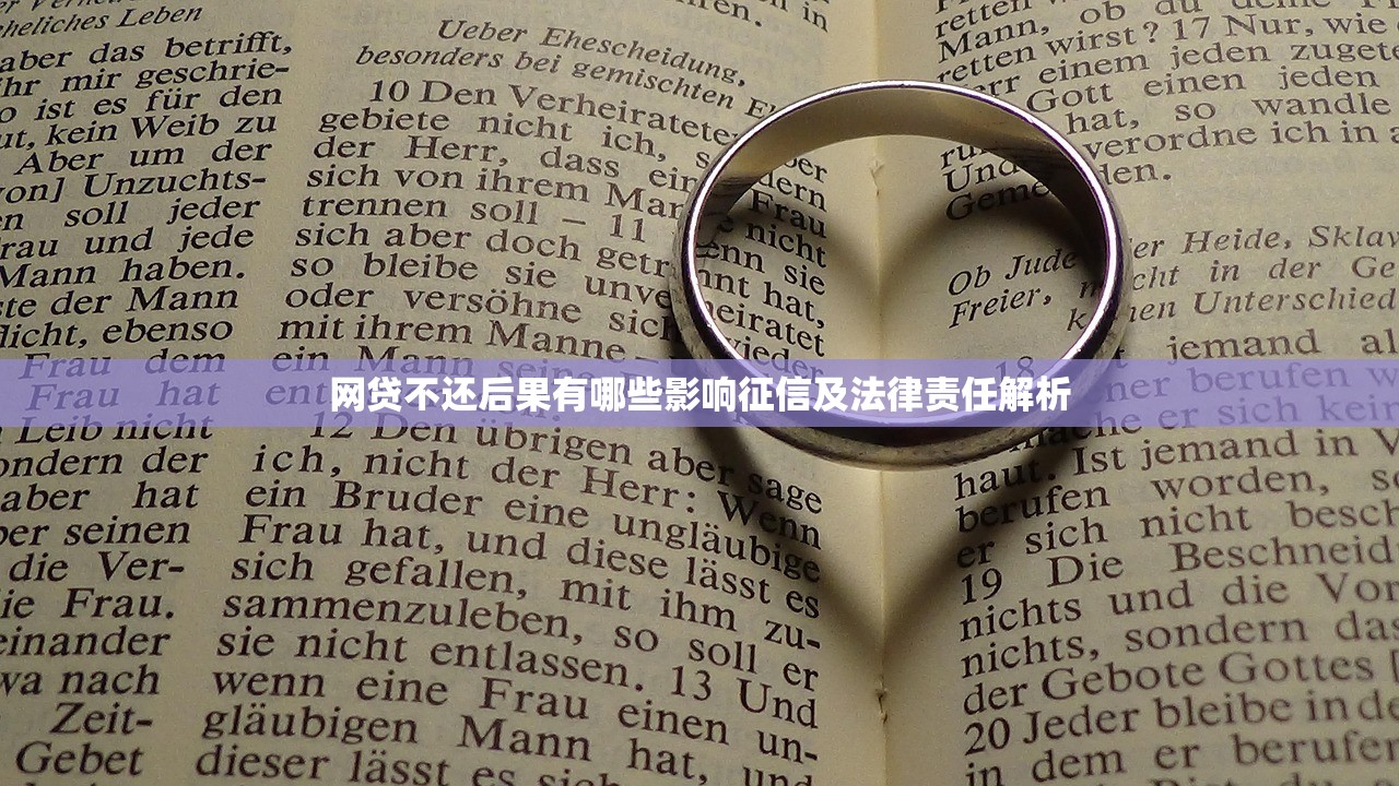 网贷不还后果有哪些影响征信及法律责任解析