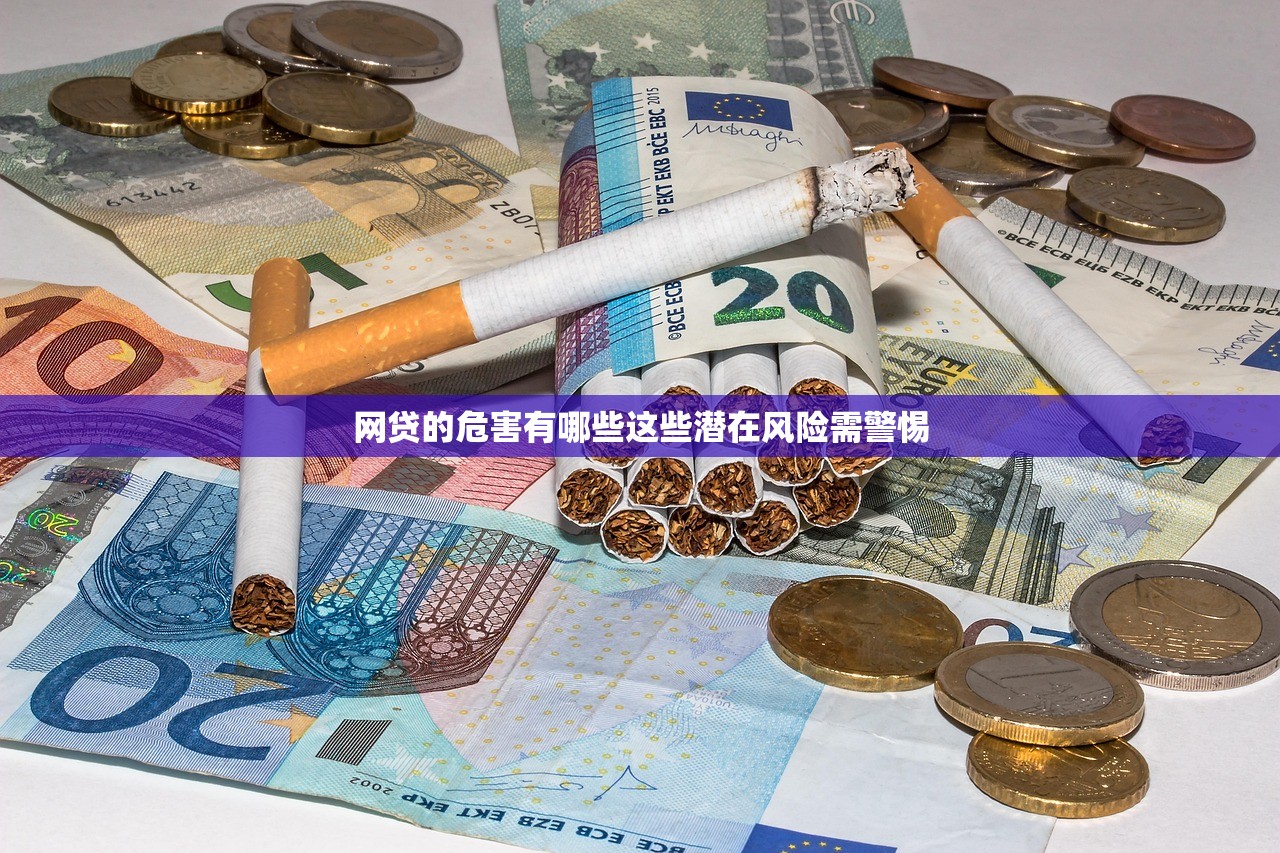 网贷的危害有哪些这些潜在风险需警惕