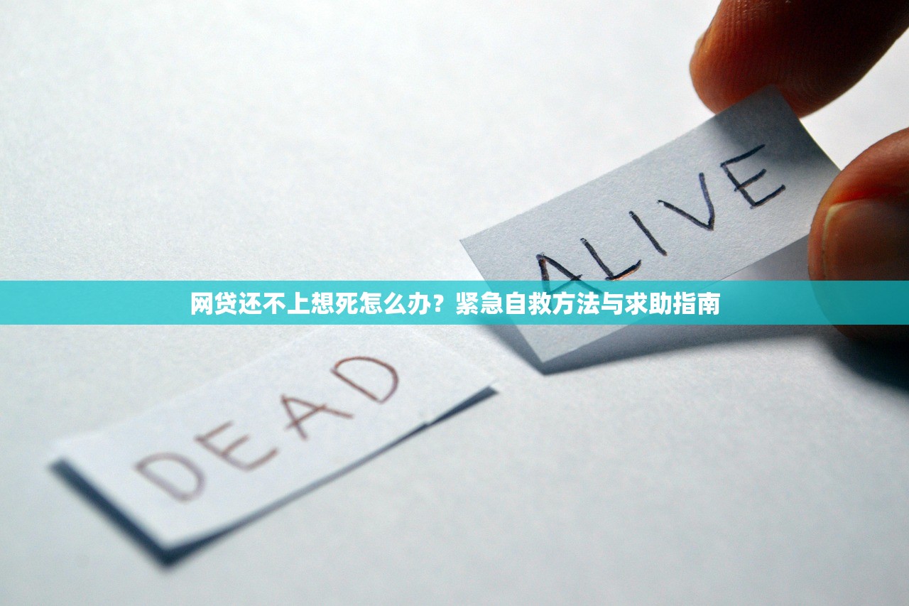 2023年靠谱网贷平台推荐：安全、低息、正规渠道一览