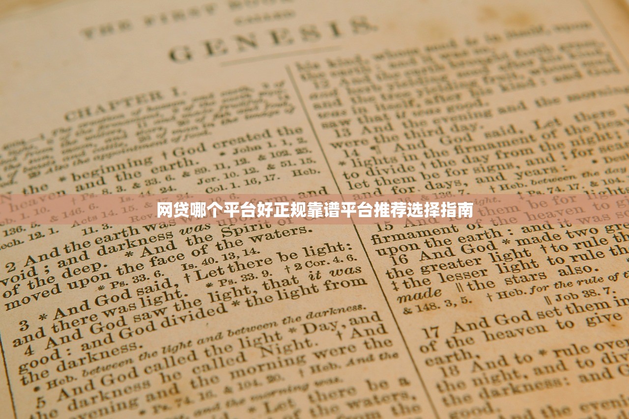 网贷哪个平台好正规靠谱平台推荐选择指南