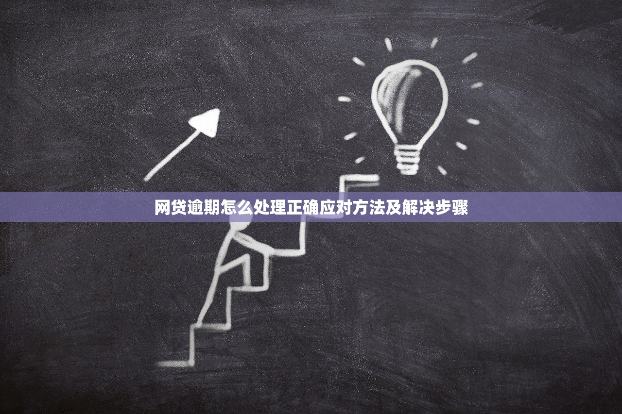 网贷逾期怎么处理正确应对方法及解决步骤