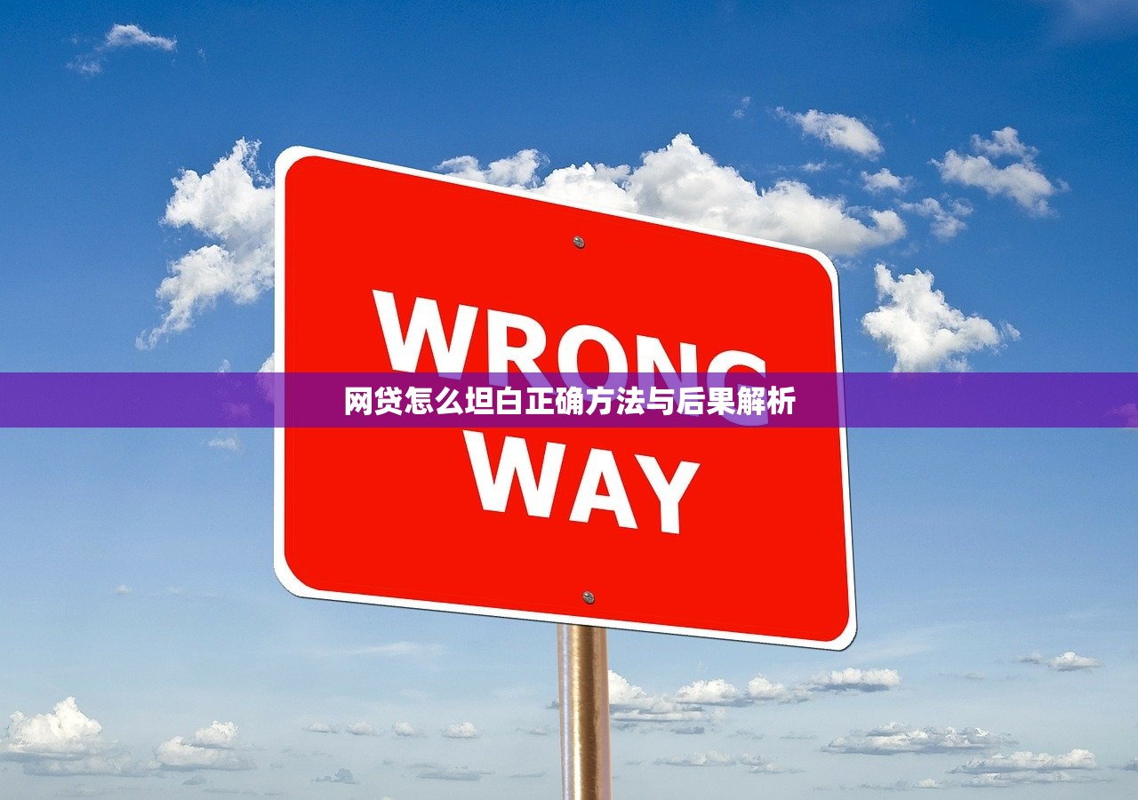 网贷怎么坦白正确方法与后果解析