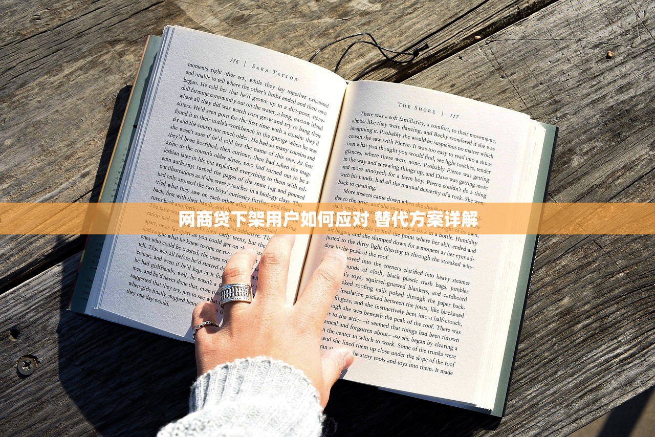 网商贷下架用户如何应对 替代方案详解