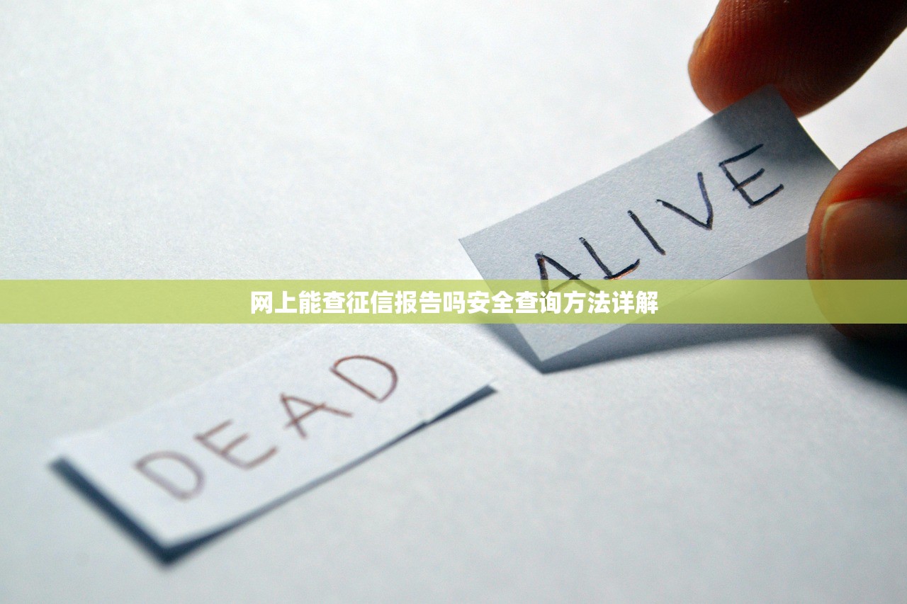 网上能查征信报告吗安全查询方法详解 网上能查征信报告吗安全查询方法详解
