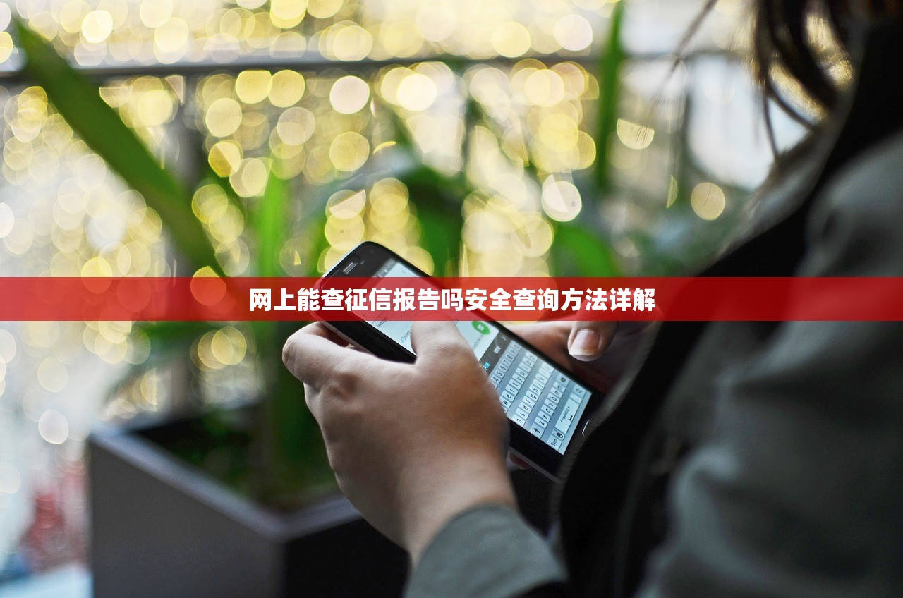 网上能查征信报告吗安全查询方法详解 网上能查征信报告吗安全查询方法详解