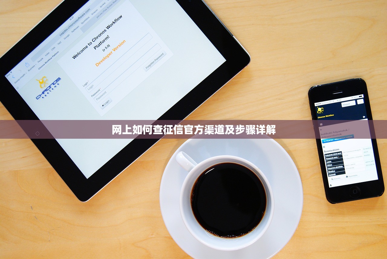 网上如何查征信官方渠道及步骤详解